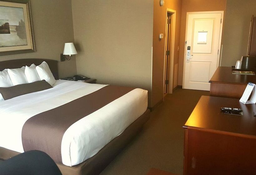 ホテル Heartland Inn & Suites, Surestay Collection By Best Western