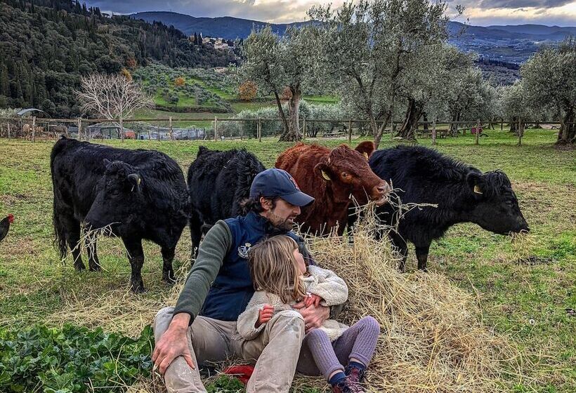 فندق ريفى Fattoria Di Maiano