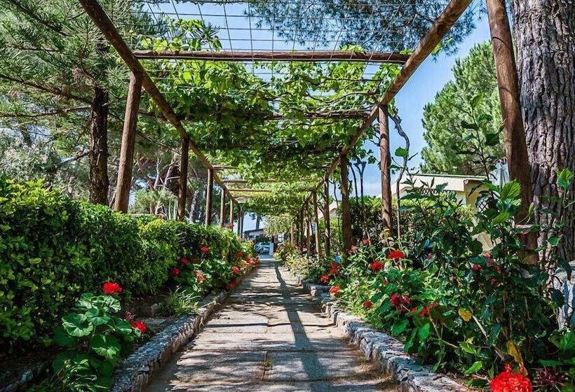 هتل Villaggio Residence Torre Saracena   Campsite
