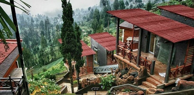 Отель Bromo Cottages