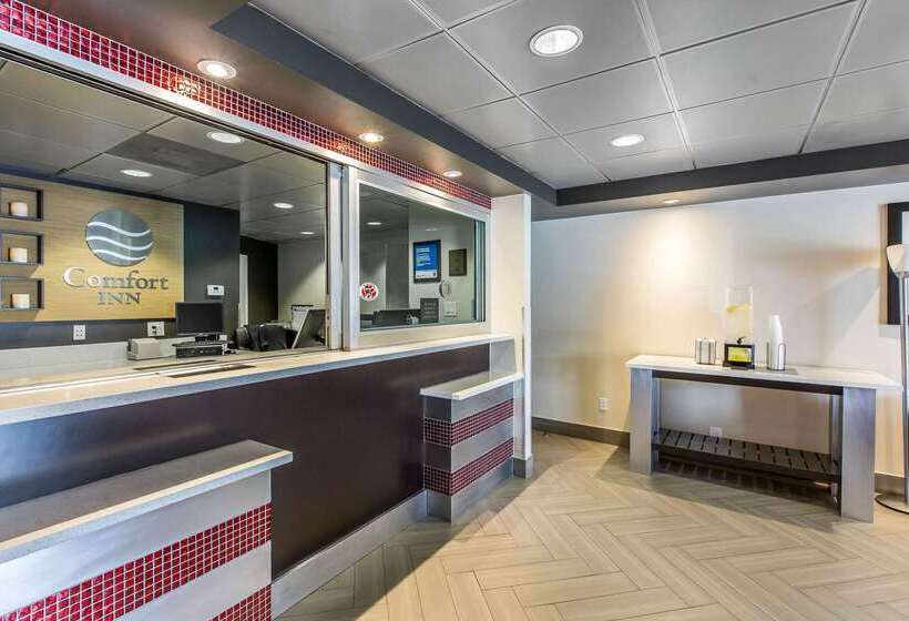 בית מלון כפרי Comfort Inn Los Angeles Near Hollywood