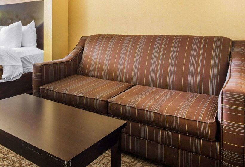 ホテル Comfort Inn & Suites At Stone Mountain