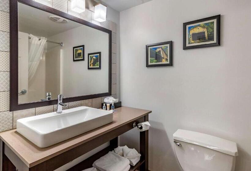 בית מלון כפרי Comfort Inn & Suites Cartersville   Emerson Lake Point