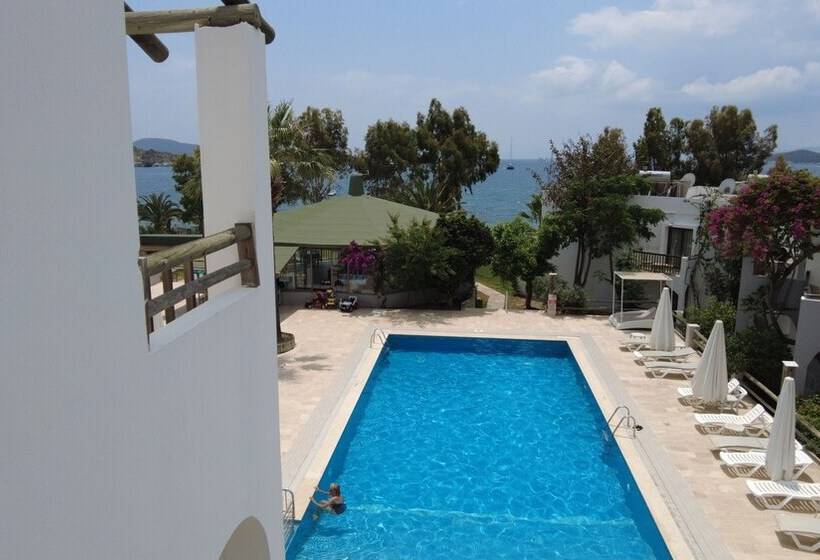 فندق Gumbet Cove