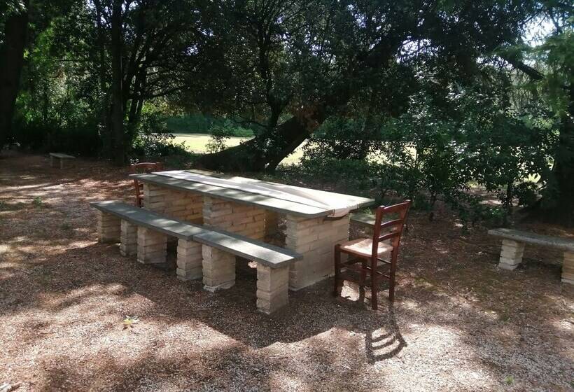 بنسيون Double Twin Room Private Bathroom For Swimming Pool Use