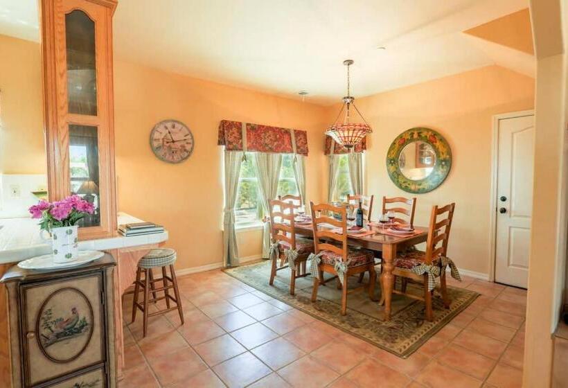 פנסיון Aterno Vineyard, Guest House