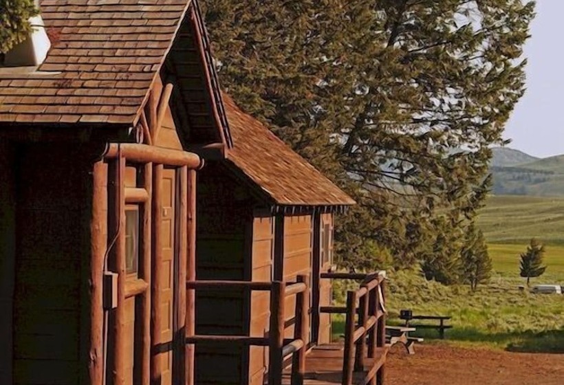酒店 Roosevelt Lodge & Cabins   Inside The Park