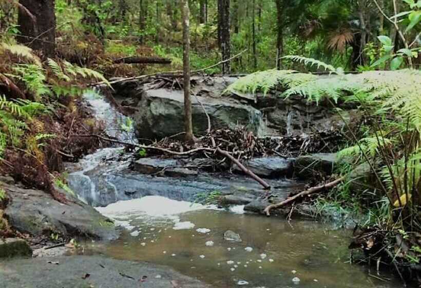 بنسيون Noosa Hinterland Retreat For Total Isolation