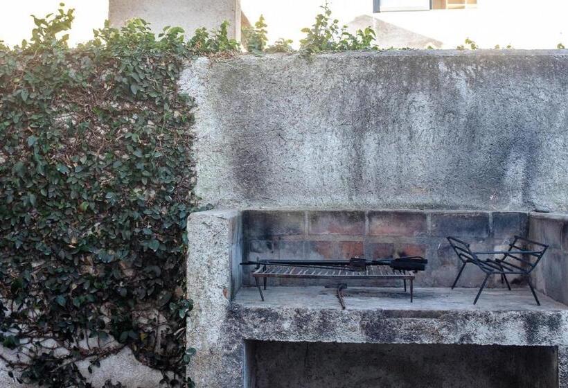 Jazmines Departamentos