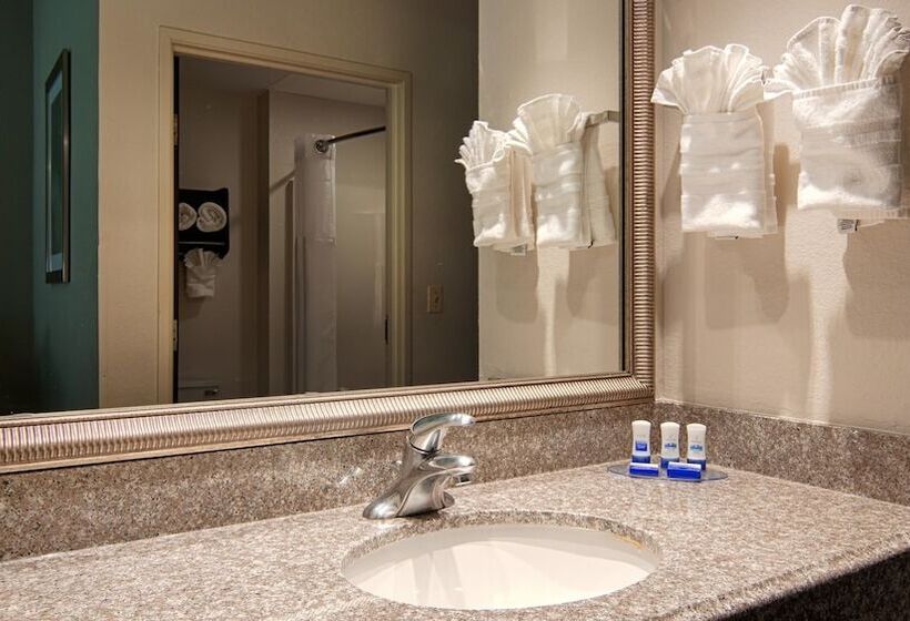 酒店 Best Western Plus O Hare International South