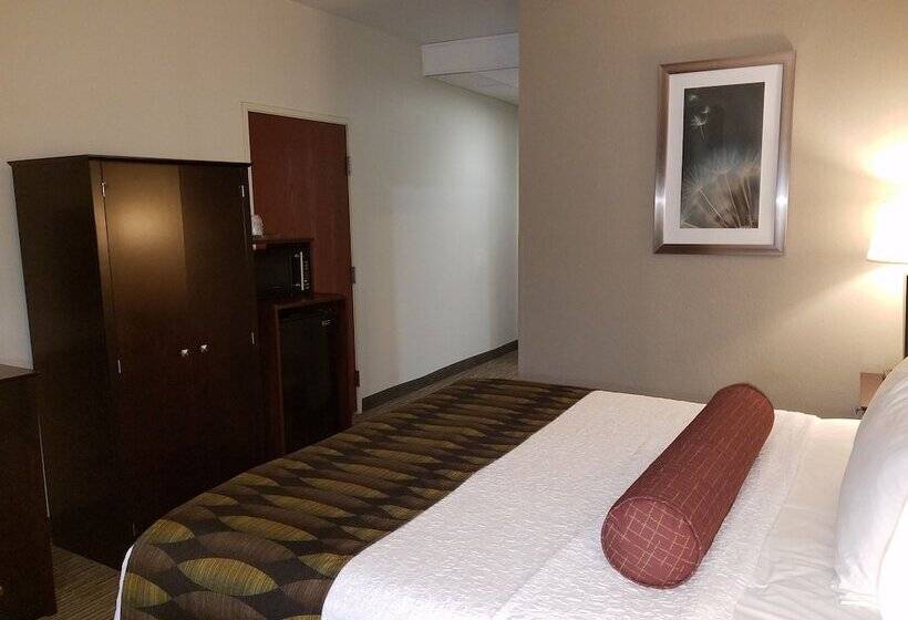 酒店 Best Western Plus O Hare International South