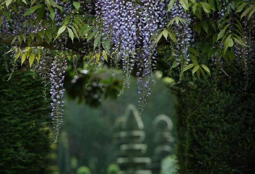 호텔 Château De La Ballue   Teritoria