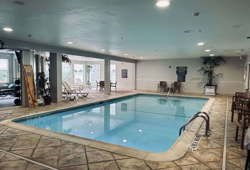 ホテル Comfort Inn & Suites East Greenbush   Albany