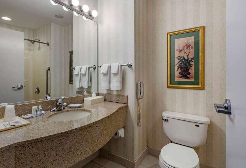 ホテル Comfort Inn & Suites East Greenbush   Albany