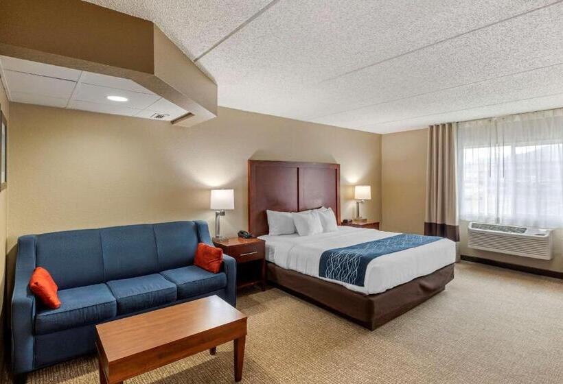 ホテル Comfort Inn & Suites Jackson   West Bend