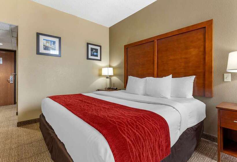 ホテル Comfort Inn Cranberry Twp
