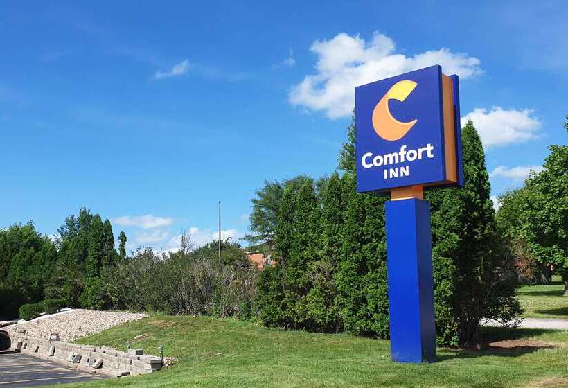 בית מלון כפרי Comfort Inn Muscatine Near Hwy 61