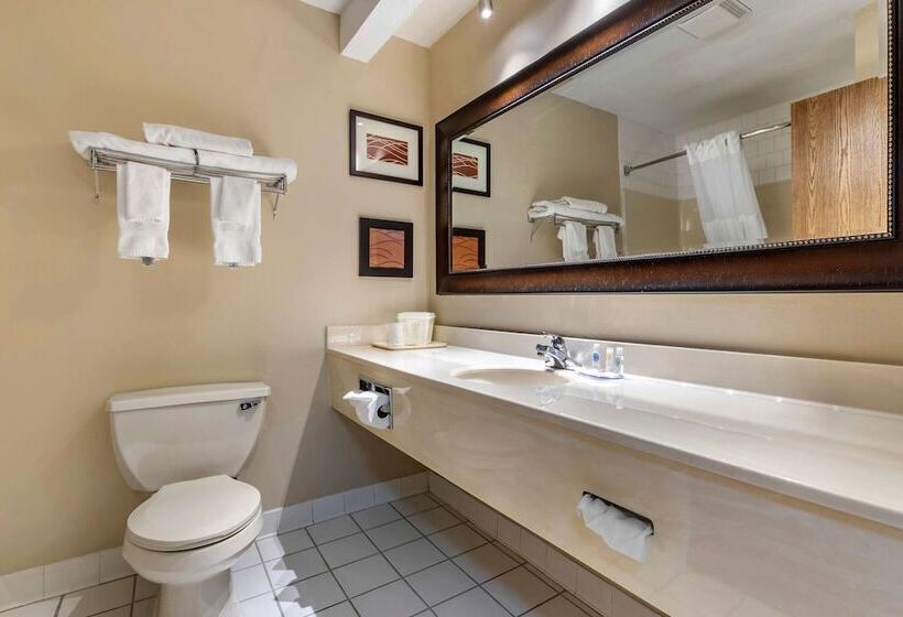 בית מלון כפרי Comfort Inn Muscatine Near Hwy 61