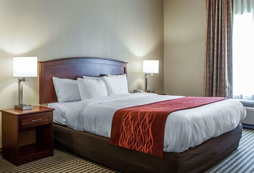 فندق Comfort Inn & Suites Carneys Point