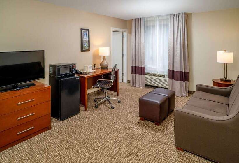 酒店 Comfort Inn & Suites