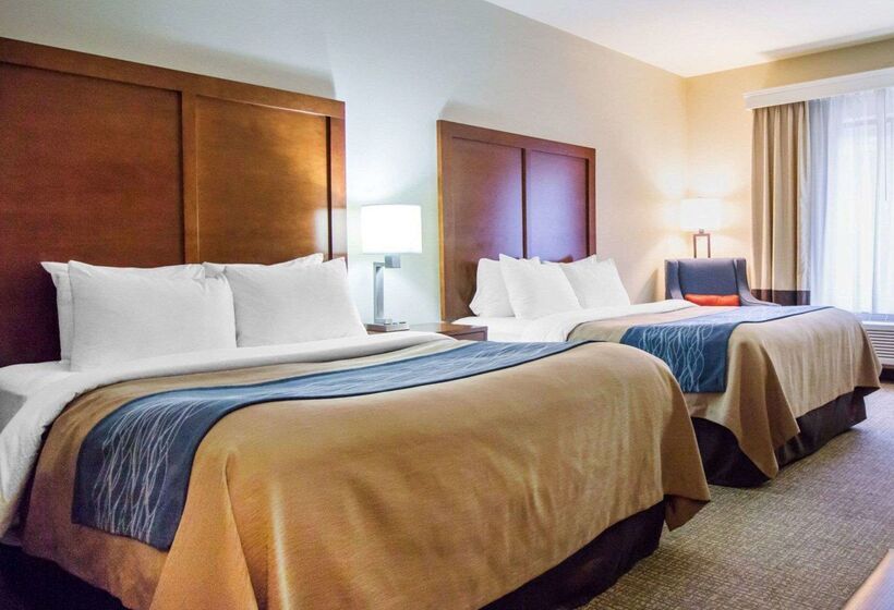 هتل Comfort Inn & Suites Deadwood