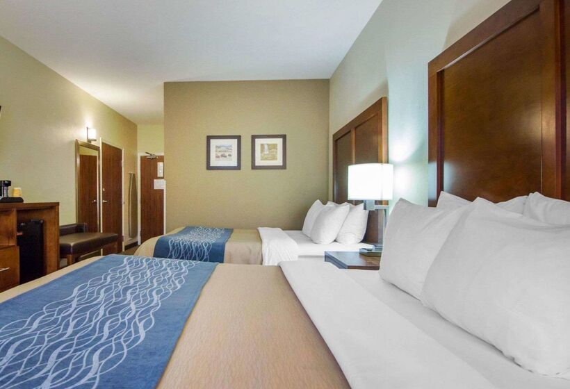هتل Comfort Inn & Suites Deadwood