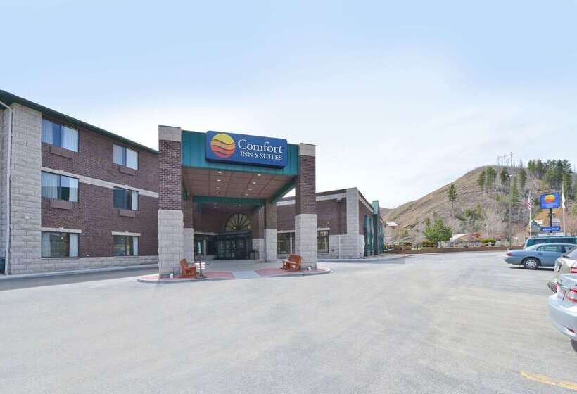 هتل Comfort Inn & Suites Deadwood