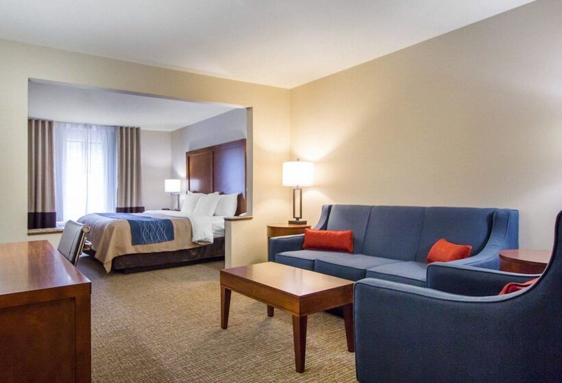هتل Comfort Inn & Suites Deadwood