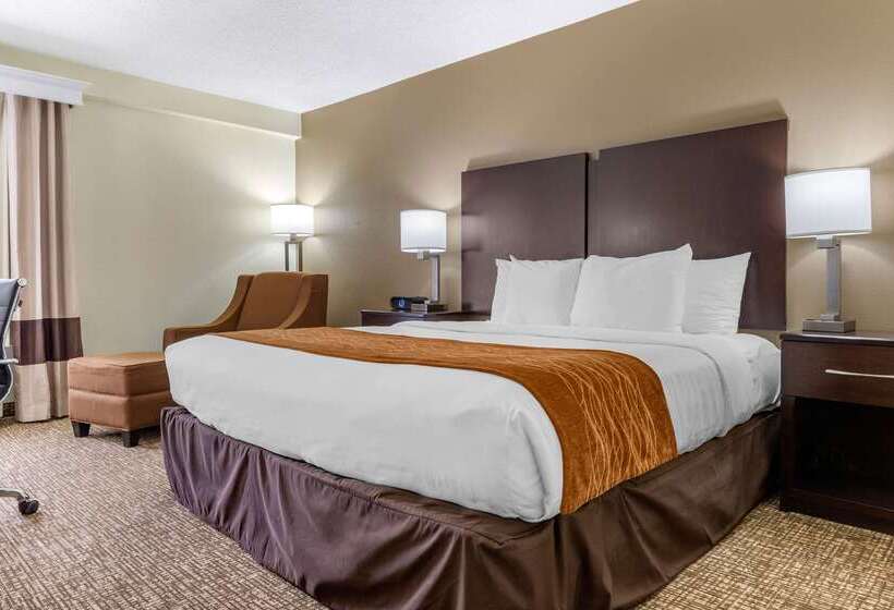 ホテル Comfort Inn & Suites Lake Norman