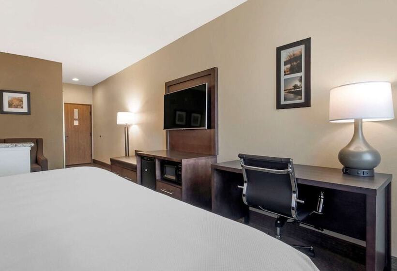 酒店 Comfort Inn & Suites Macon