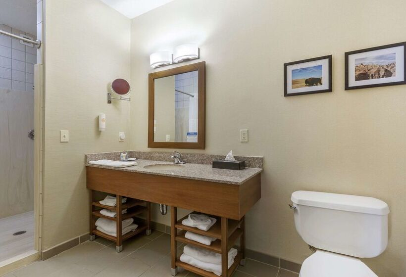 هتل Comfort Inn & Suites