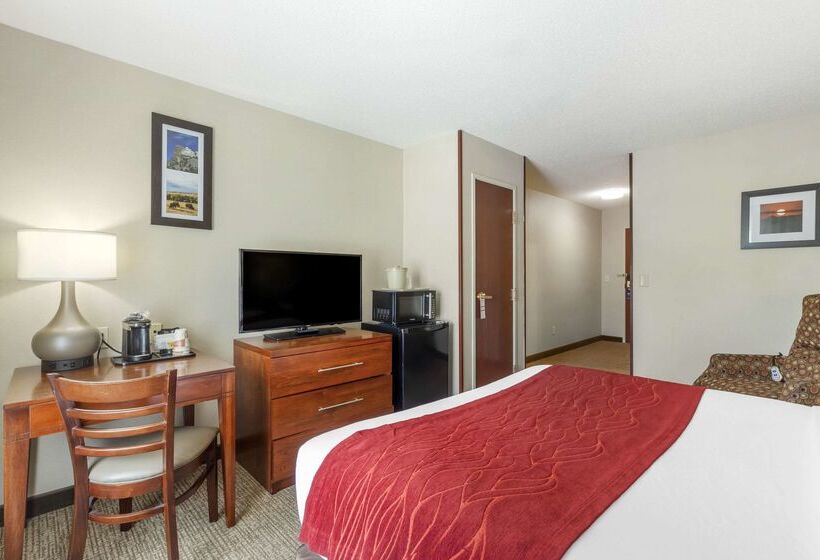 هتل Comfort Inn & Suites