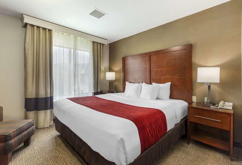 هتل Comfort Inn & Suites