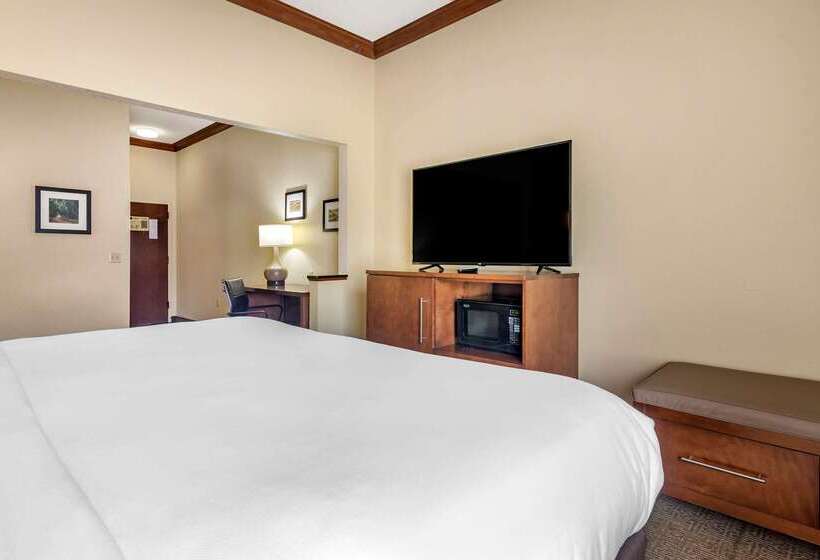酒店 Comfort Inn & Suites Statesboro  University Area