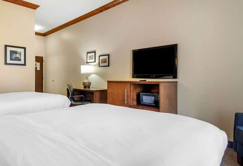 酒店 Comfort Inn & Suites Statesboro  University Area