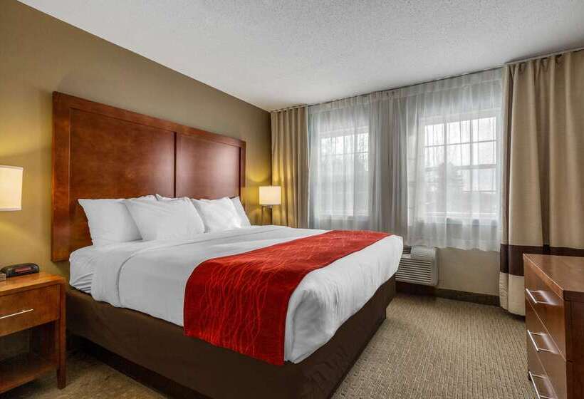 בית מלון כפרי Comfort Inn & Suites North Conway