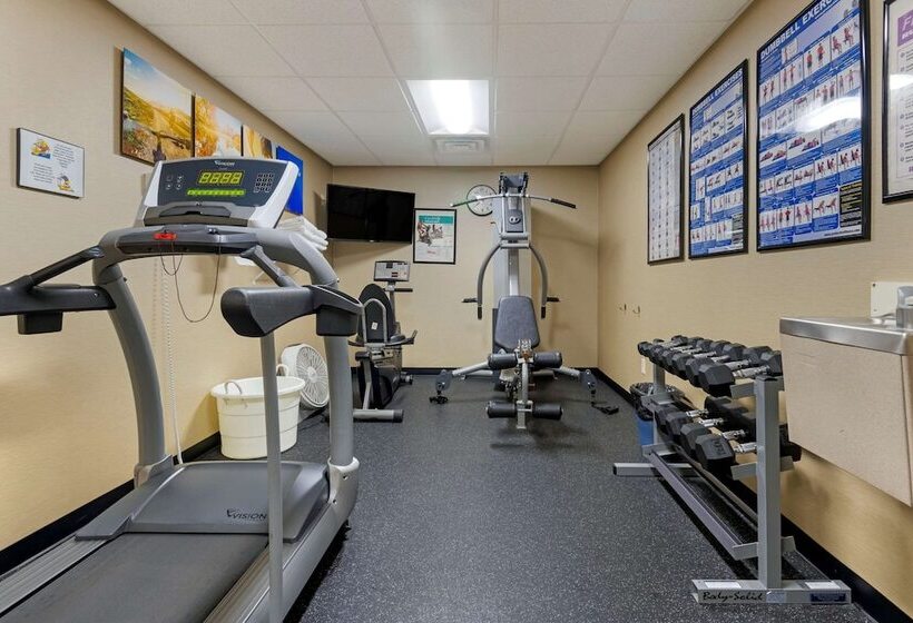 בית מלון כפרי Comfort Inn & Suites North Conway