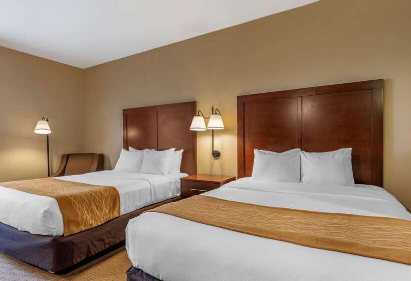 酒店 Comfort Inn Warrensburg Station