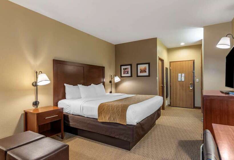 酒店 Comfort Inn Warrensburg Station