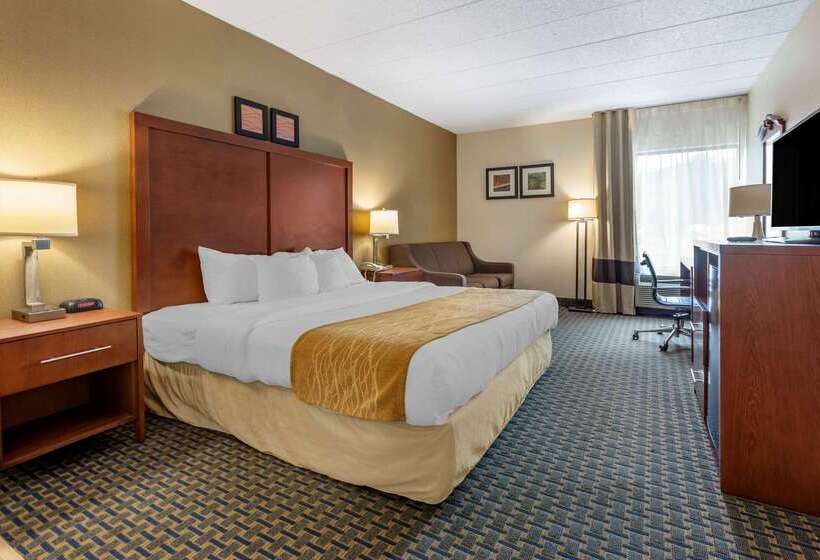 Отель Comfort Inn