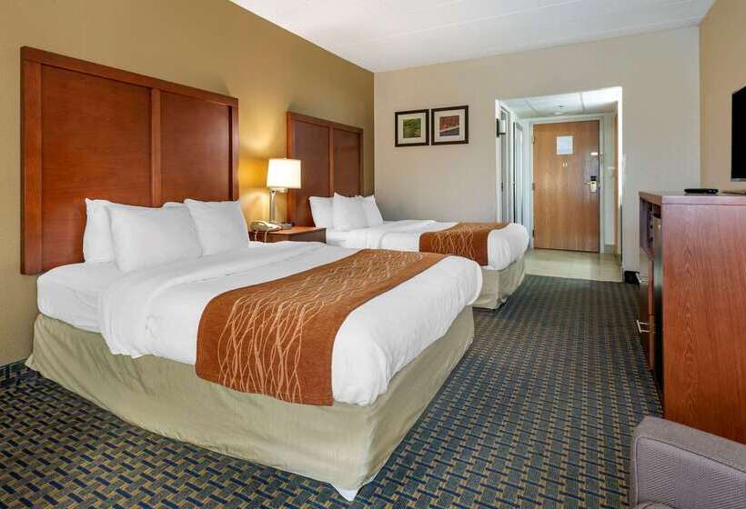 Отель Comfort Inn