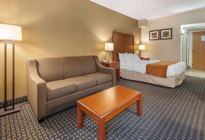 Отель Comfort Inn