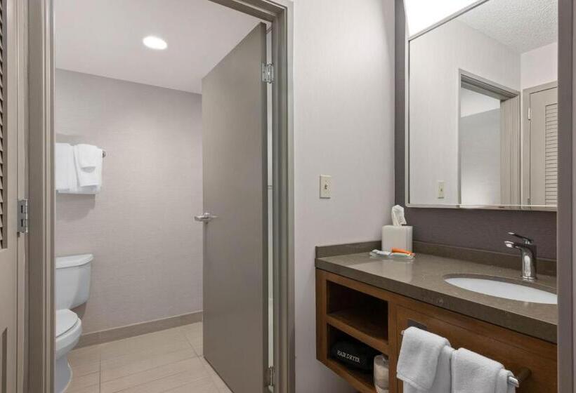 בית מלון כפרי Courtyard Boise Downtown