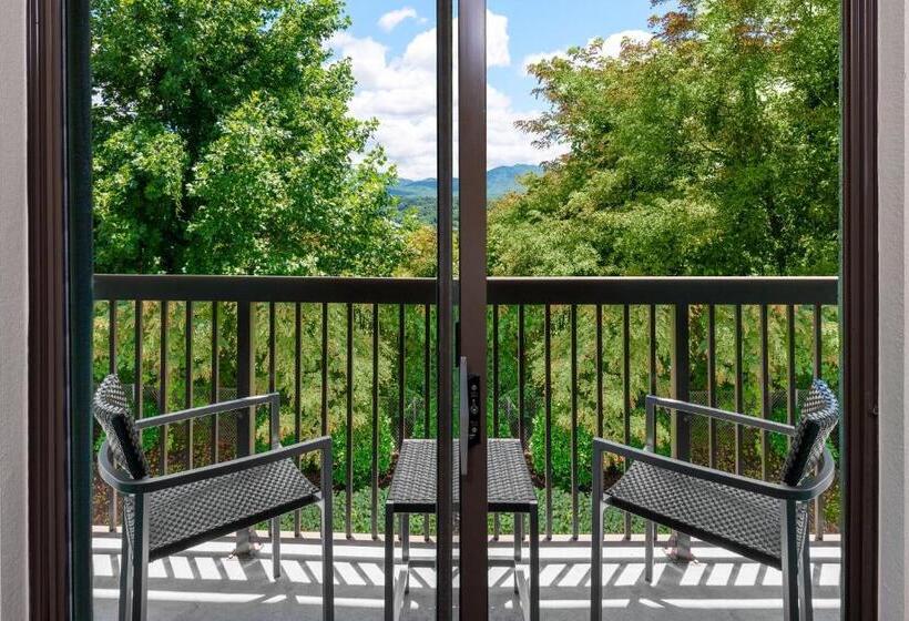 هتل Courtyard Asheville