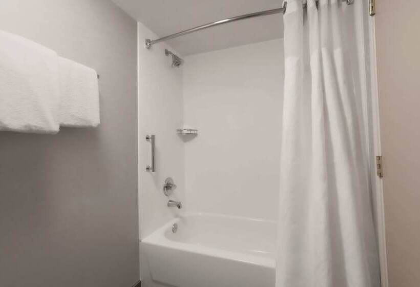 בית מלון כפרי Courtyard By Marriott Denver Golden/red Rocks