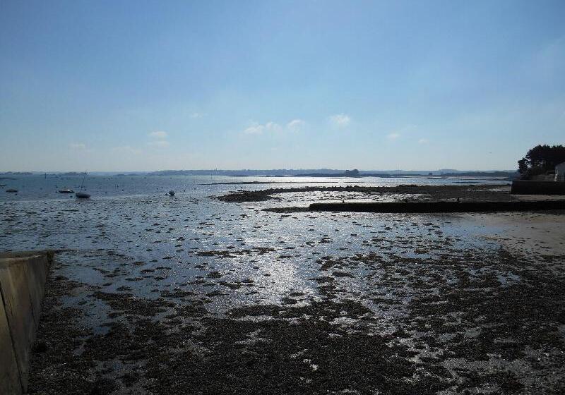 Отель De France