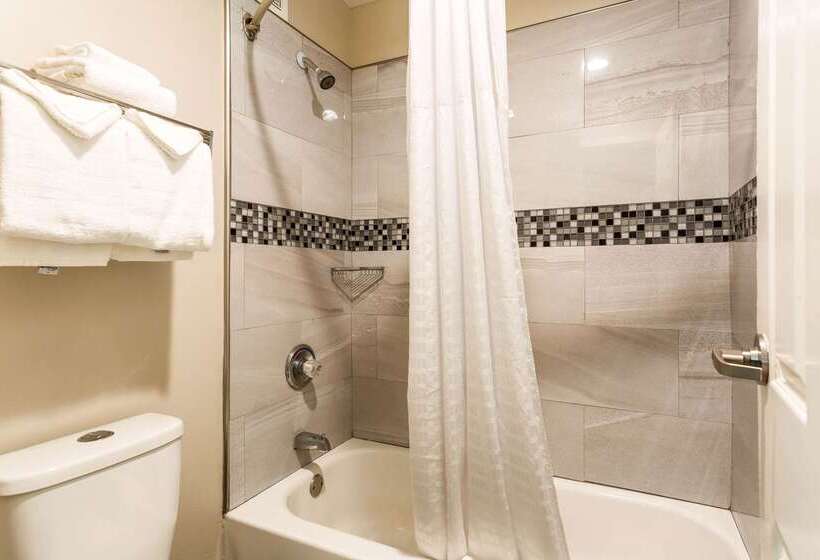 酒店 Econo Lodge  Inn & Suites