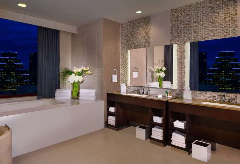 هتل Hilton Austin