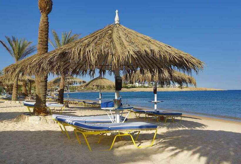 فندق Hilton Daytona Beach Oceanfront Resort