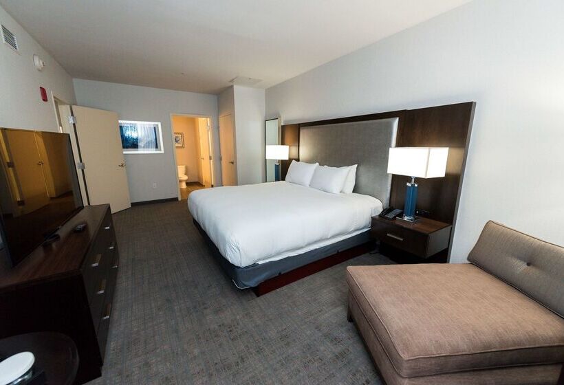 בית מלון כפרי Hilton Scranton & Conference Center